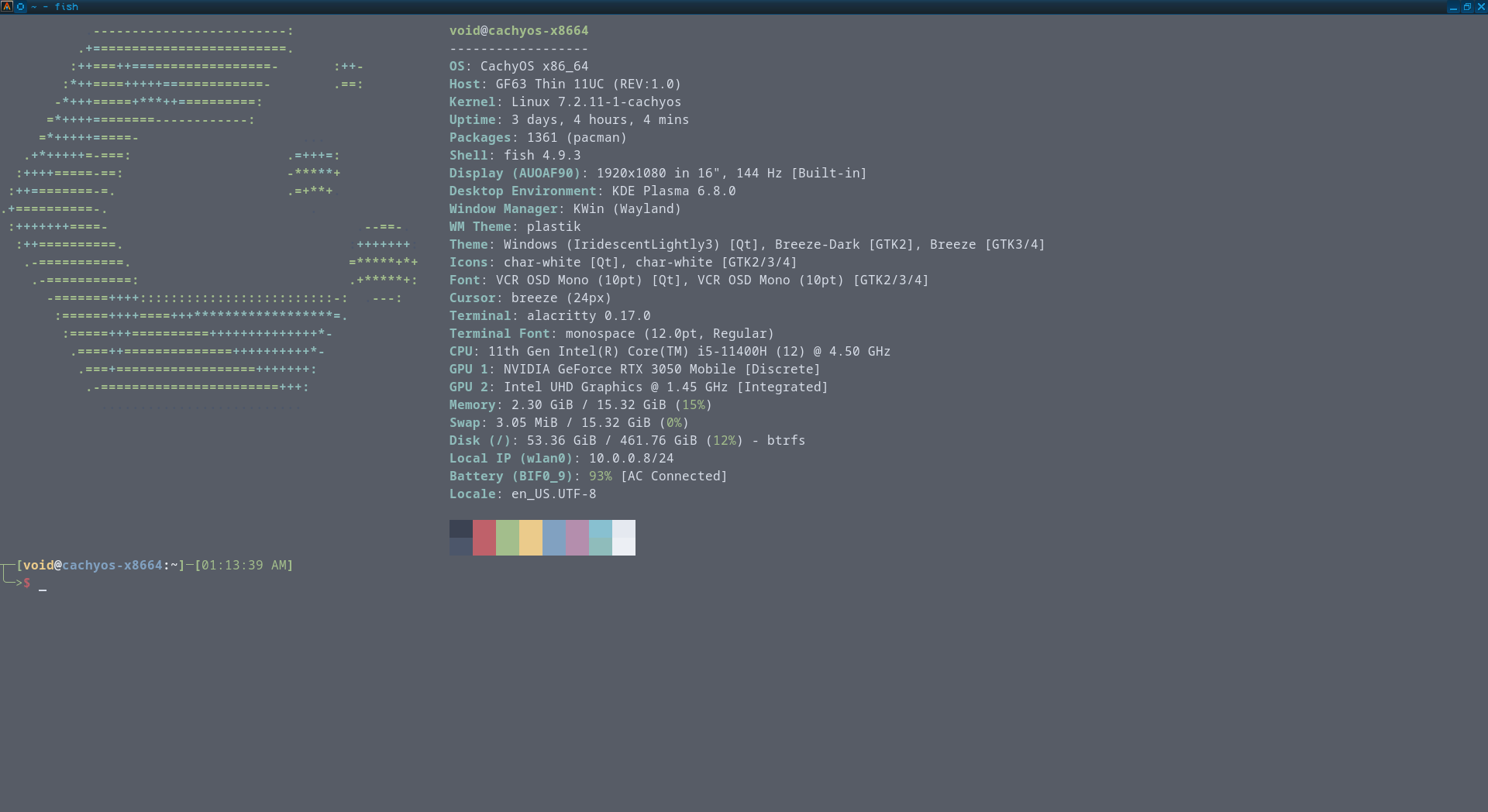 Screenshot of the server desktop showing the current build